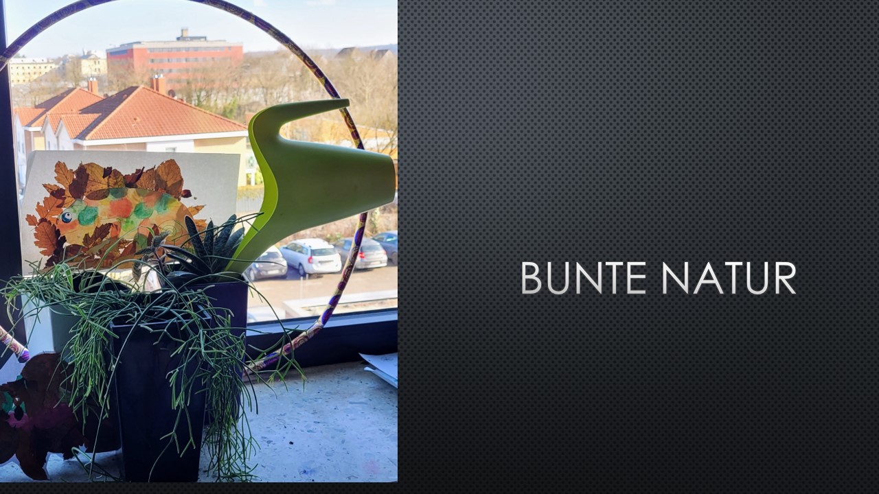 Slide6.jpg